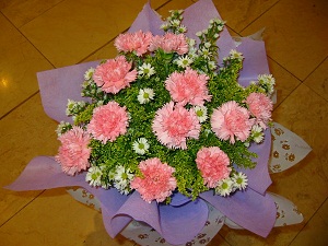 1 dozen pink carnation